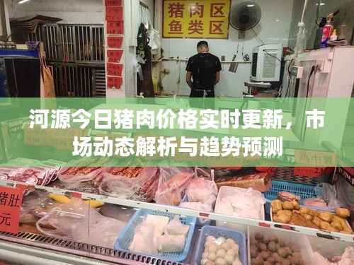 河源今日猪肉价格实时更新，市场动态解析与趋势预测