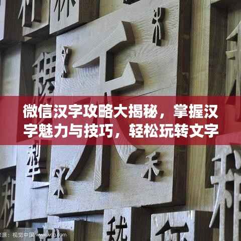 微信汉字攻略大揭秘，掌握汉字魅力与技巧，轻松玩转文字游戏！