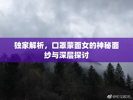 独家解析，口罩蒙面女的神秘面纱与深层探讨