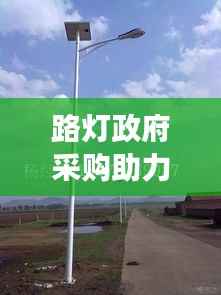 路灯政府采购助力节能绿色照明，共建节能社会新时代