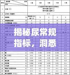 揭秘尿常规指标，洞悉你的健康状况