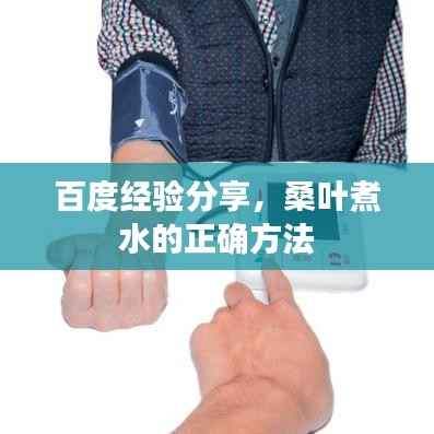 百度经验分享，桑叶煮水的正确方法