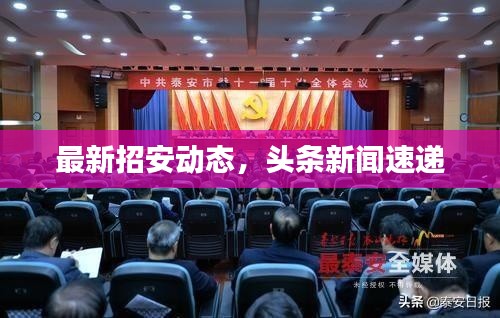 最新招安动态，头条新闻速递