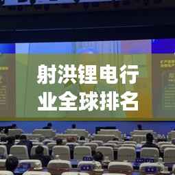 射洪锂电行业全球排名飙升，发展势头强劲！