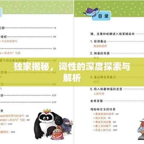 独家揭秘，词性的深度探索与解析