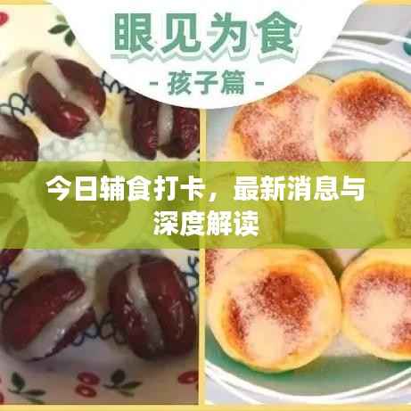 今日辅食打卡，最新消息与深度解读