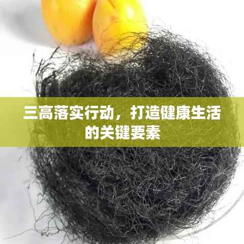 三高落实行动，打造健康生活的关键要素