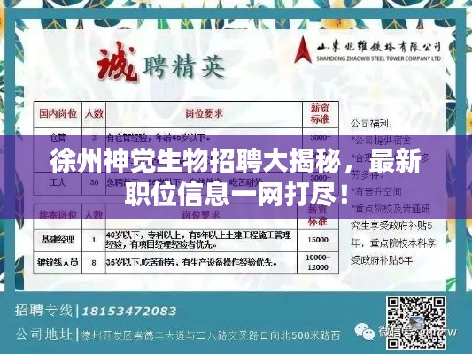 徐州神觉生物招聘大揭秘，最新职位信息一网打尽！