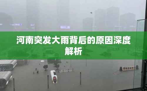 河南突发大雨背后的原因深度解析