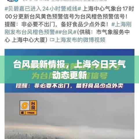 慎重其事 第5页