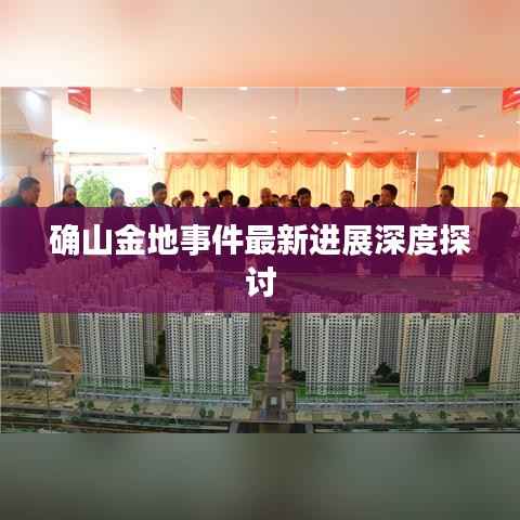 确山金地事件最新进展深度探讨