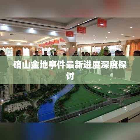 确山金地事件最新进展深度探讨