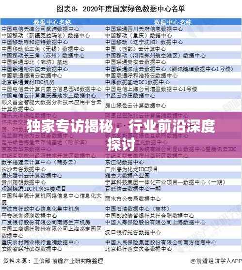 独家专访揭秘，行业前沿深度探讨