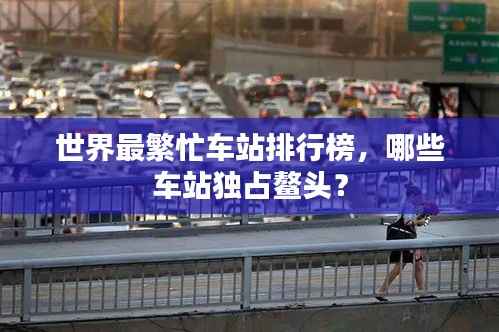 世界最繁忙车站排行榜，哪些车站独占鳌头？
