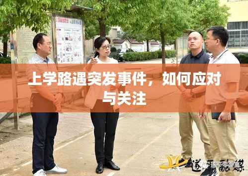 上学路遇突发事件，如何应对与关注