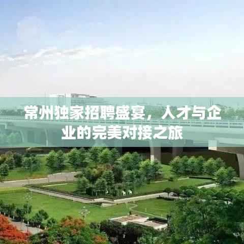 常州独家招聘盛宴,人才与企业的完美对接之旅
