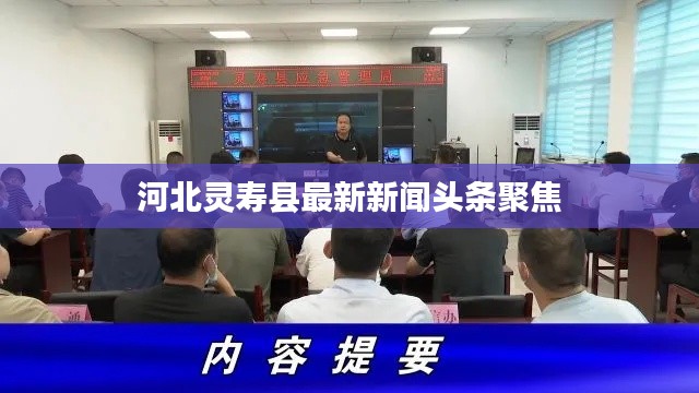 河北灵寿县最新新闻头条聚焦