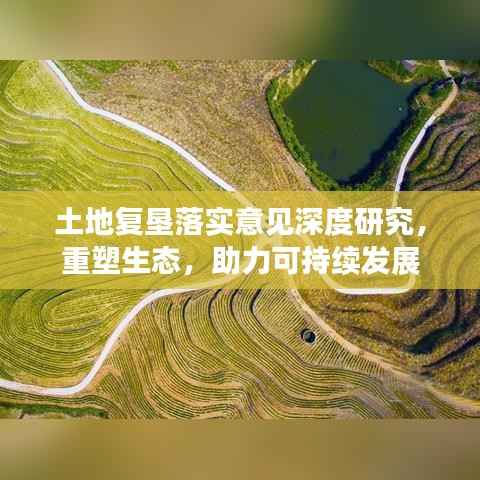 土地复垦落实意见深度研究，重塑生态，助力可持续发展