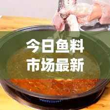 今日鱼料市场最新动态及价格走势解析