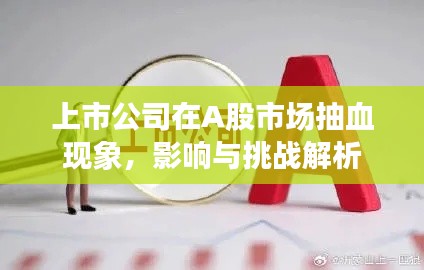 落土飞岩 第5页