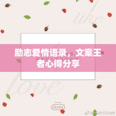 励志爱情语录，文案王者心得分享