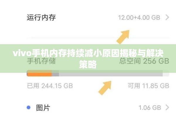 vivo手机内存持续减小原因揭秘与解决策略