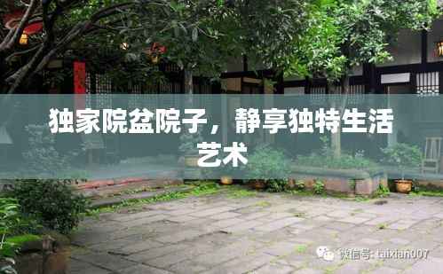 独家院盆院子，静享独特生活艺术