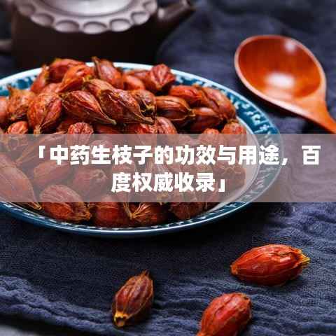 「中药生枝子的功效与用途，百度权威收录」