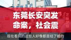 东莞长安突发命案，社会震惊关注！