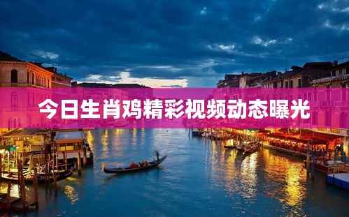 今日生肖鸡精彩视频动态曝光