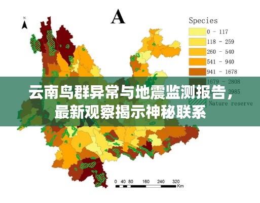 云南鸟群异常与地震监测报告，最新观察揭示神秘联系