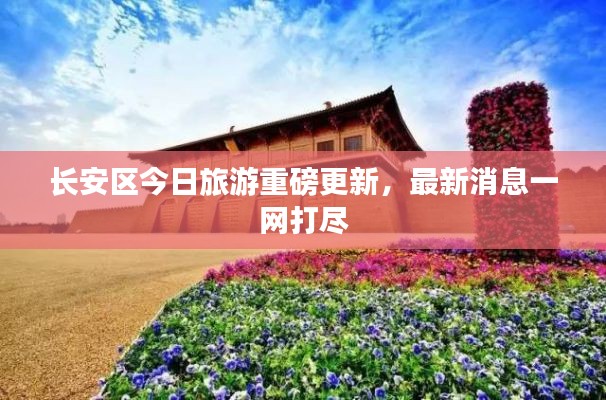 长安区今日旅游重磅更新，最新消息一网打尽