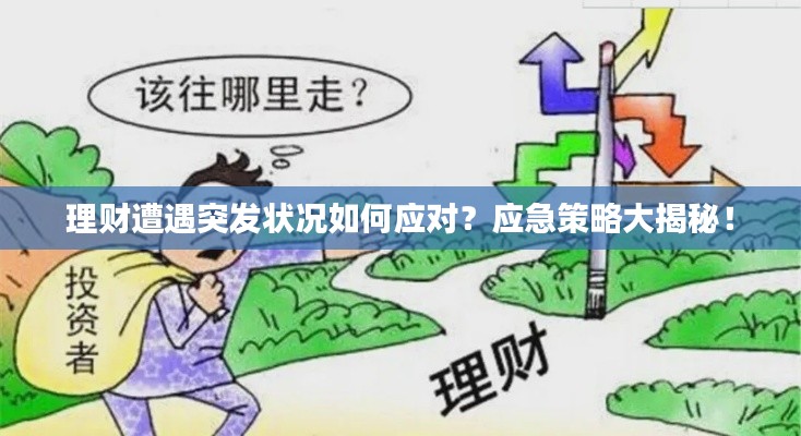 理财遭遇突发状况如何应对？应急策略大揭秘！