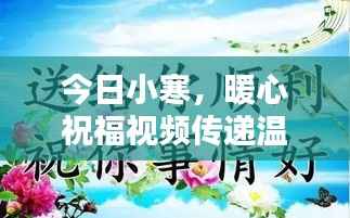 今日小寒，暖心祝福视频传递温暖关怀