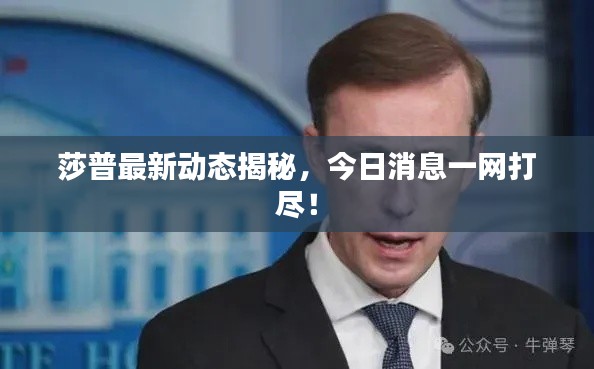 莎普最新动态揭秘，今日消息一网打尽！