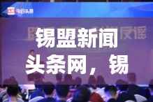 锡盟新闻头条网，锡盟地区最权威的新闻资讯引领平台