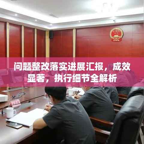 问题整改落实进展汇报，成效显著，执行细节全解析