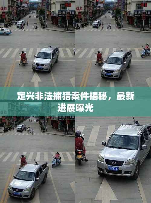 定兴非法捕猎案件揭秘，最新进展曝光