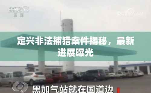 定兴非法捕猎案件揭秘,最新进展曝光