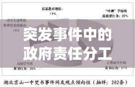 突发事件中的政府责任分工，如何应对危机，保障民众安全？