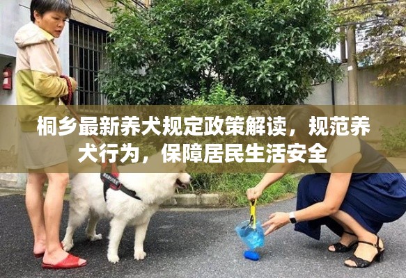 桐乡最新养犬规定政策解读，规范养犬行为，保障居民生活安全