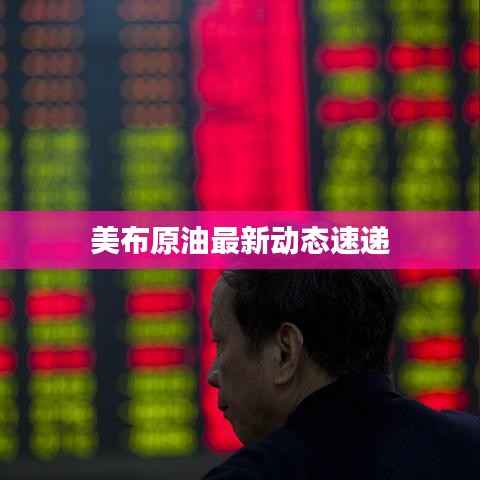 美布原油最新动态速递
