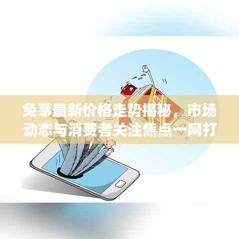 兔茅最新价格走势揭秘，市场动态与消费者关注焦点一网打尽！