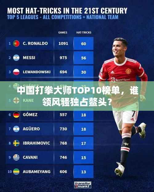 中国打拳大师TOP10榜单，谁领风骚独占鳌头？