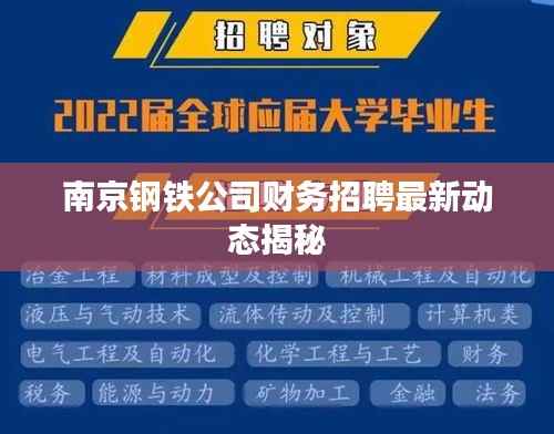 南京钢铁公司财务招聘最新动态揭秘