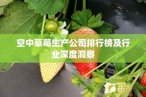 七贵三公 第5页