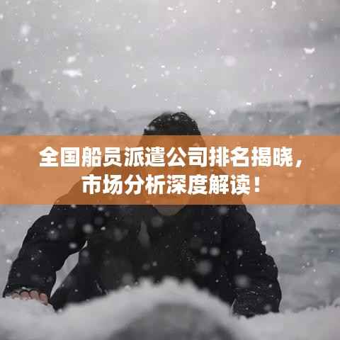 全国船员派遣公司排名揭晓,市场分析深度解读!