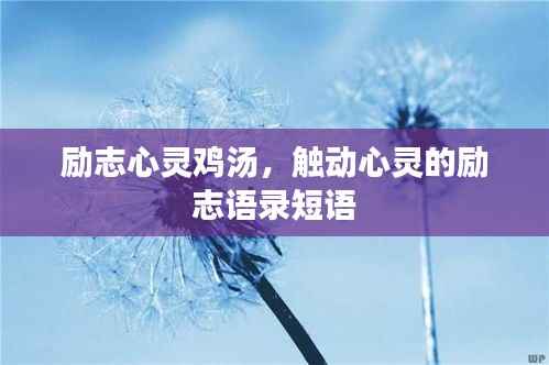 励志心灵鸡汤，触动心灵的励志语录短语