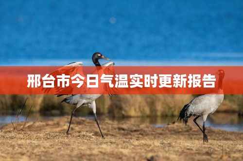 邢台市今日气温实时更新报告