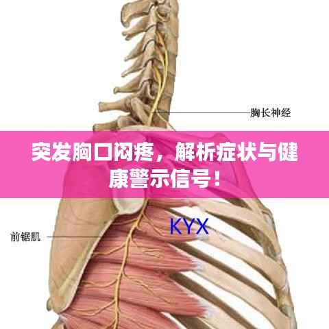 突发胸口闷疼，解析症状与健康警示信号！